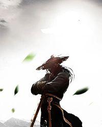 伪装大佬那些年